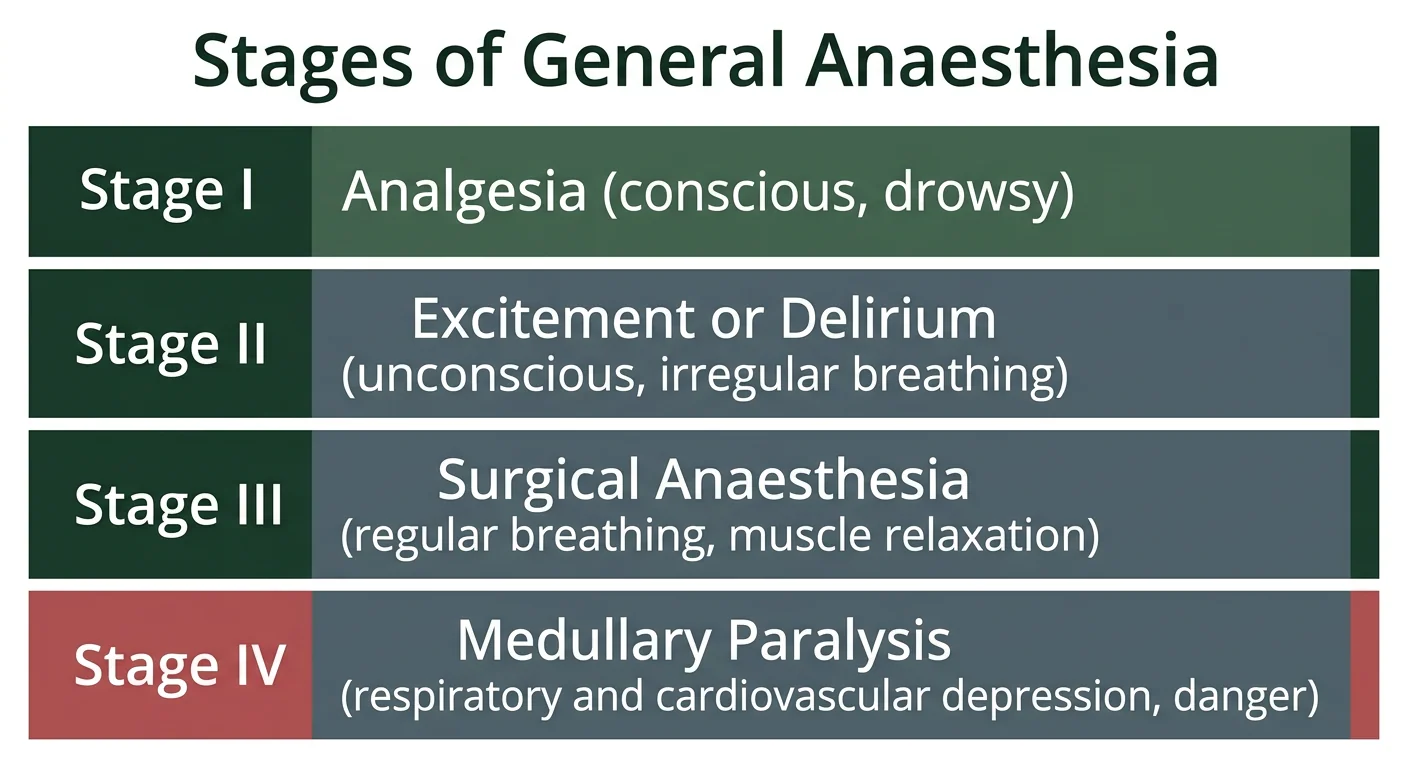 Figure 1 — Stages of general anaesthesia