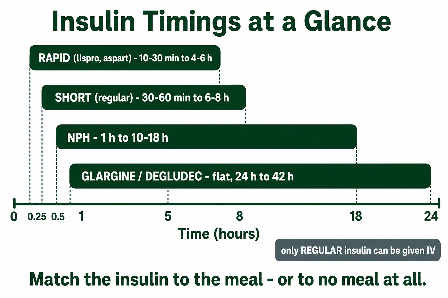Insulin action timeline