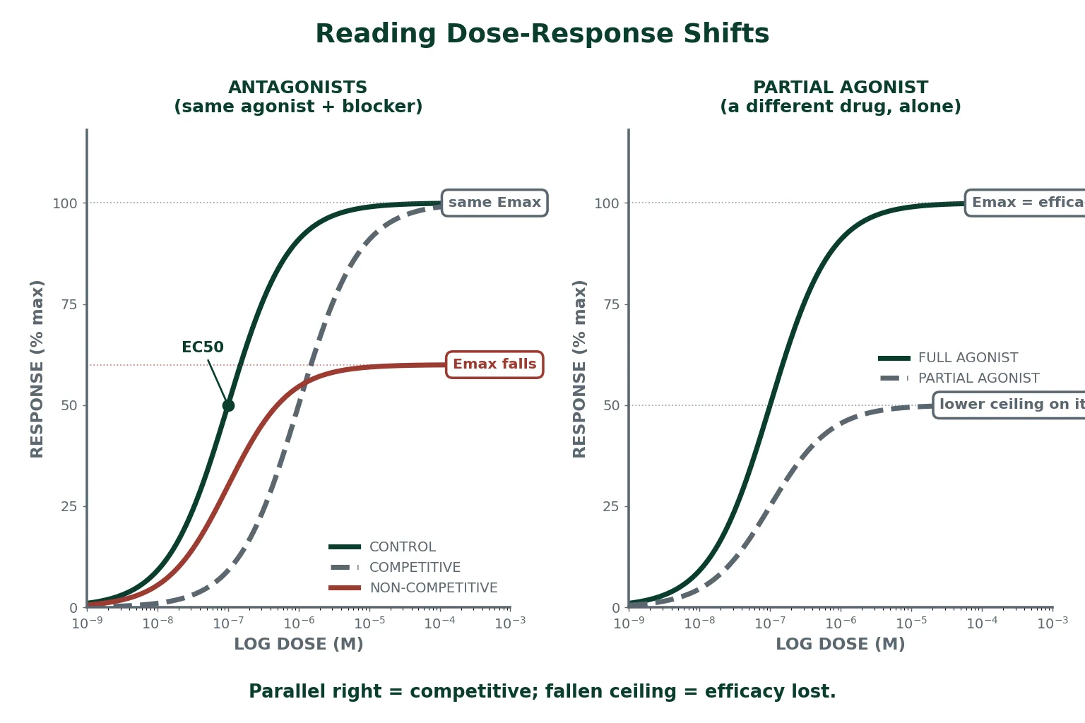Reading dose-response shifts